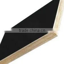 High Density and High Grade Water Resistant Container Plywood board
