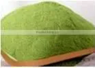 JHigh gradeapanese green tea Uji Matcha Made in Japan Kyoto Uji bulk