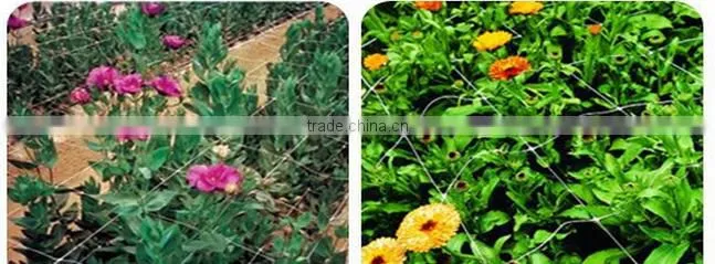 hot selling high quality bean cucumber BOP Net Plant Climbing Net
