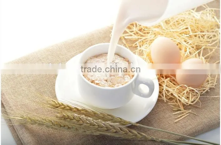 healthy food high quality intant oatmeal for people