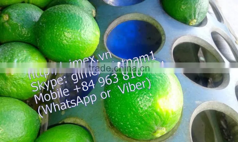 FRESH SEEDLESS LIME