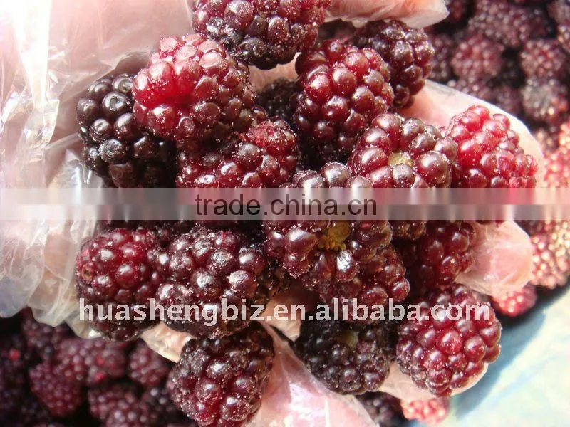 IQF blackberry