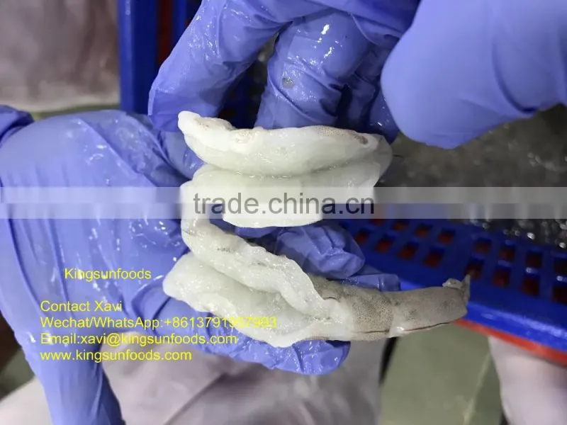 Frozen PD Shrimp,Shrimp Vannamei from India