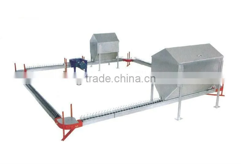 Poultry Breeder Chain Feeding System