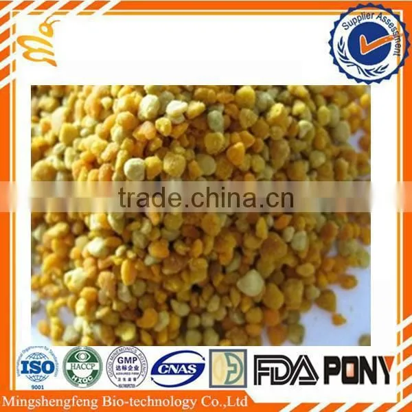 Fresh Bee Pollen (Best Quality)