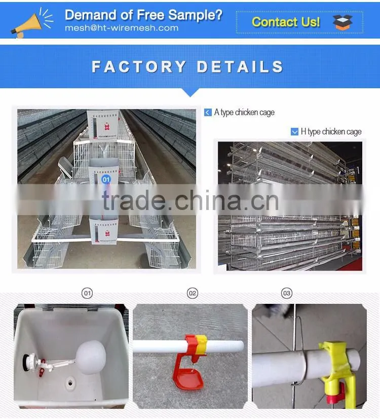 30 Years' factory supply automatic chicken nest