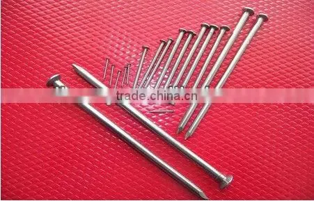 Clout nails for building