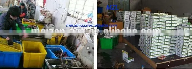 china factory popular plastic tap