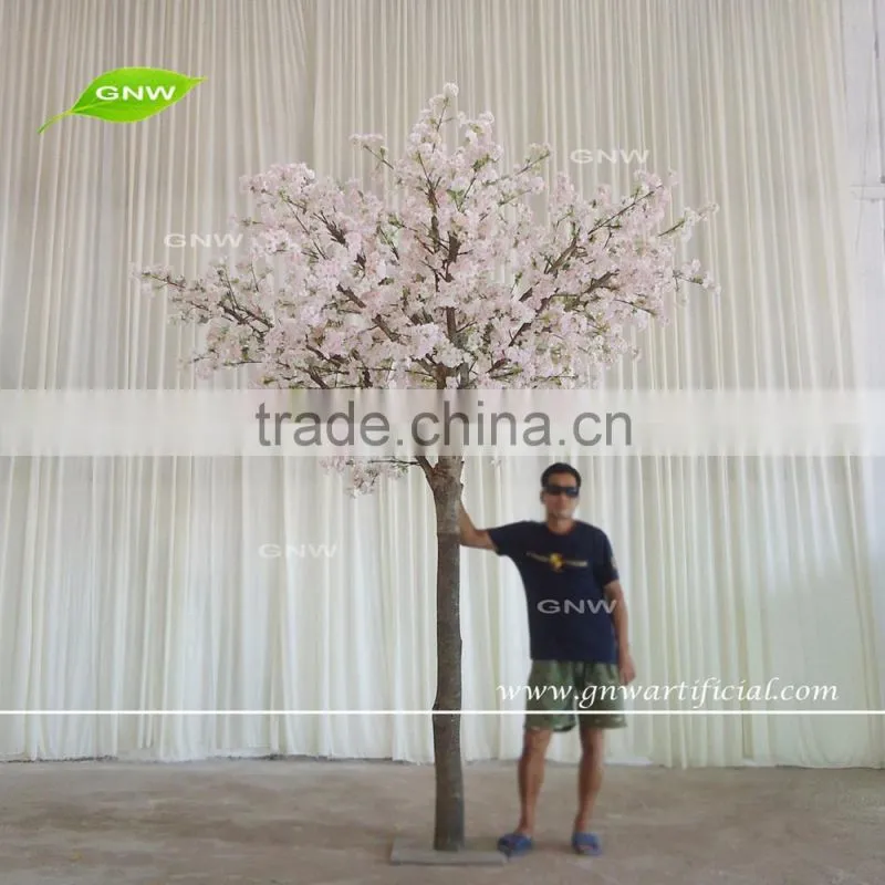 GNW BTR161031-002 8ft Maple tree landscaping Autumn maple tree