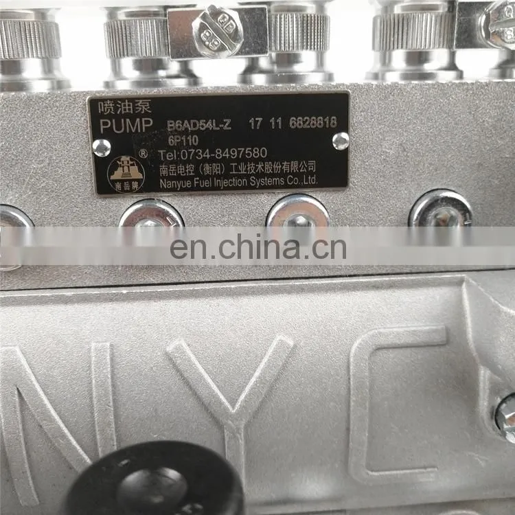 Genuine NANYUE diesel fuel injection pump B6AD54L-Z B7606-1111100A-493