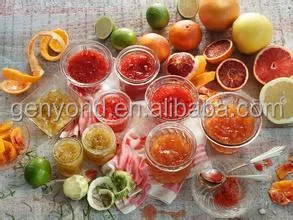 Shanghai Factory Complete Small Capacity mango Puree Processing Plant