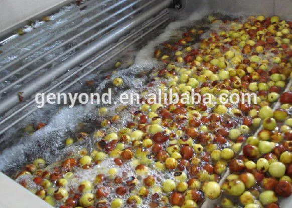 Professional Date Syrup Production Line Date Syrup Making Machine From China Factory