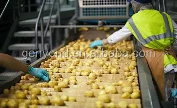 Compound Potato Chips Production Line