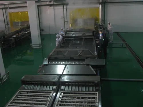 Egg Cleaning Sorting Packing Line