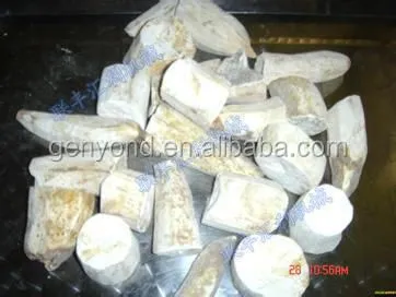 Cassava Washing Machine