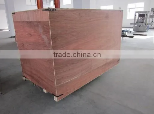 Double sides automatic bottle labeling machine TBK-150X for beverage