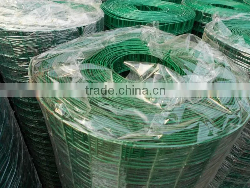 electro galvanized/PVC coated/Hot dipped galvanized welded wire mesh