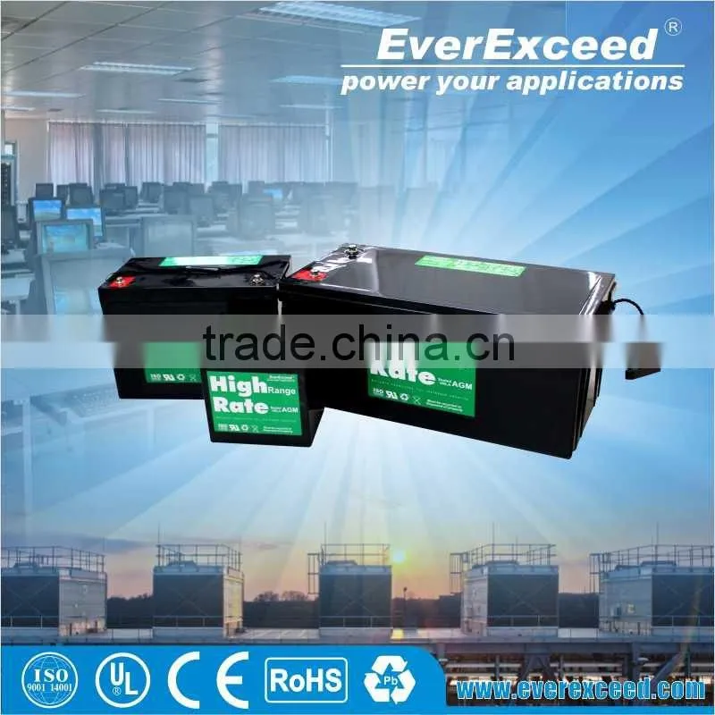 EverExceed 1-400KVA 3 Phase Low Frequency Online UPS, GBT input rectifier PowrNX For Telecommucation
