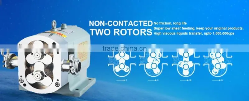 Stainless Steel 304 Hygienic Rotary Lobe Pumps
