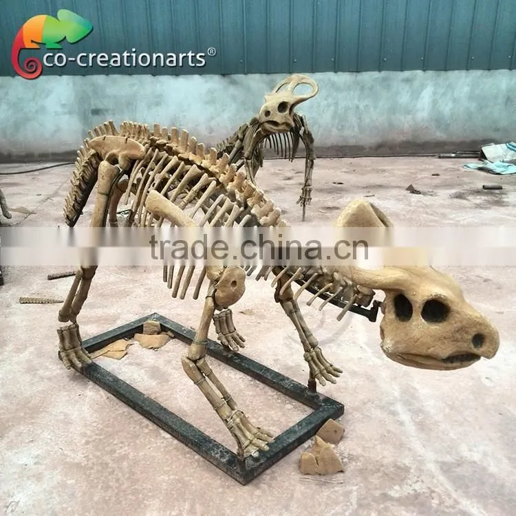 High simulation fiberglass Triceratops dinosaur fossils