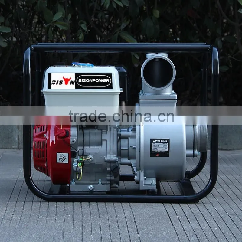 BISON(CHINA) BSWP40 Garden Tool Jet Pump Pressur Washer Pump