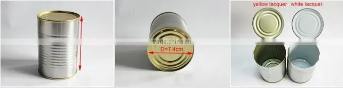 CHINA BIGGEST FACTORY TO SUPPLY CANNED WHITE BEANS 400GX24TIN