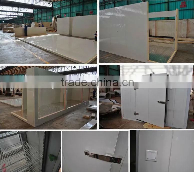 PU Insulation cold room panels for cold room building