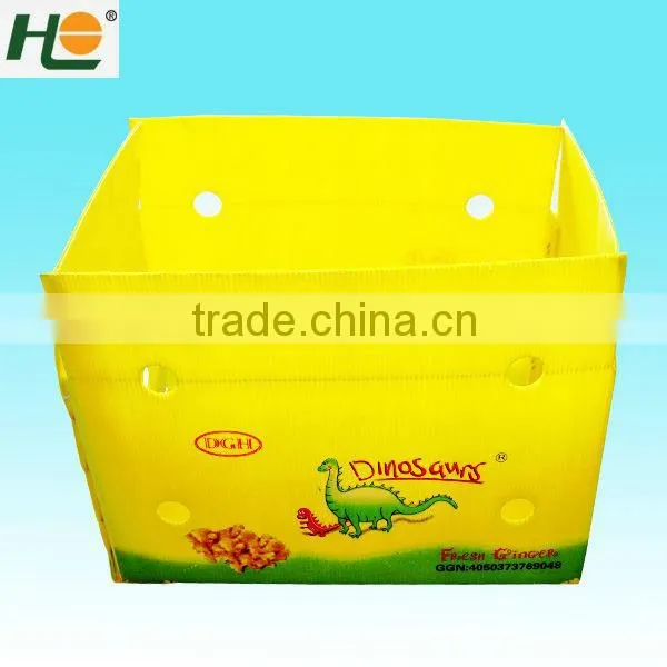 Recycled pp anti-static Industry Packaging Box