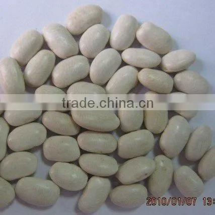 China white Kidney beans/medium 2010
