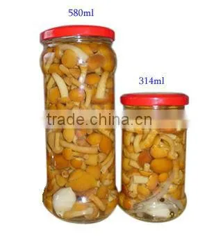 Canned Nameko ( can sizes: 2840g, 800g, 400g, 314ml, 580ml, 720ml)