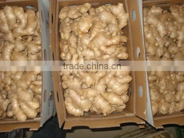 Fresh air dried Ginger