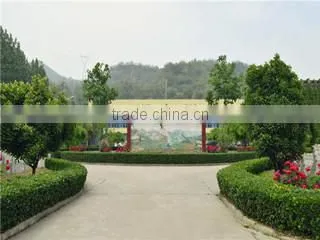 Gongyi Jinlonghengji Heavy Industry Machinery Co., Ltd. company overview - view 3