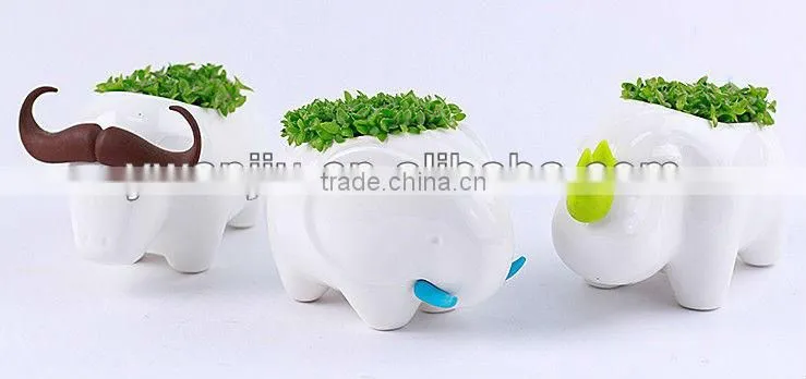 Supply fashion Creative animal plant - rhinoceros