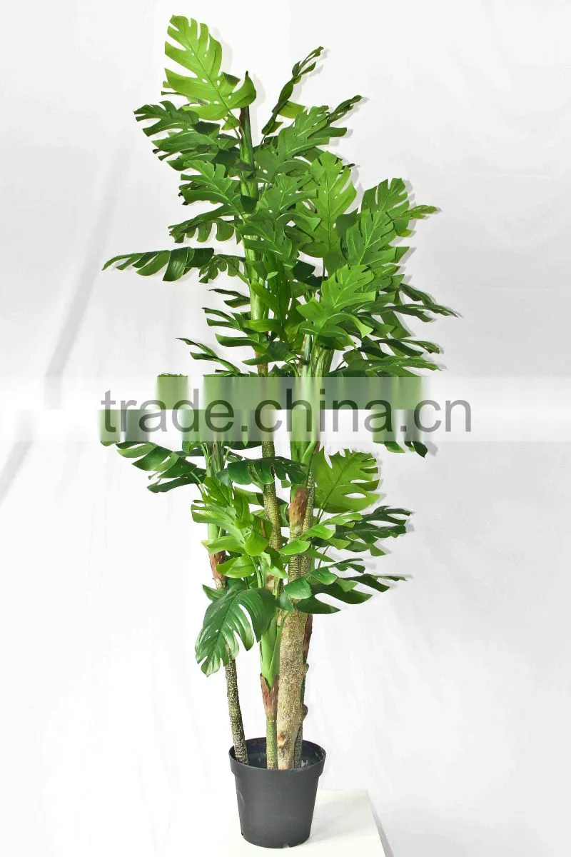 Office decorative green plants