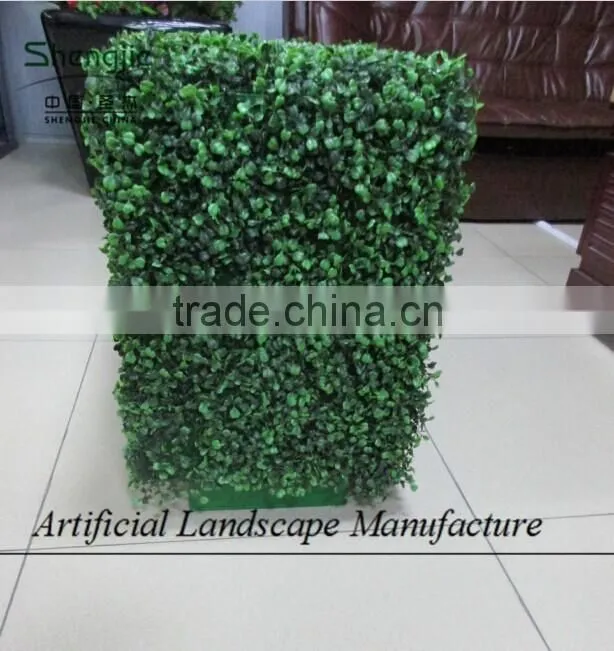 Indoor artificial plastic boxwood hedge for decoration