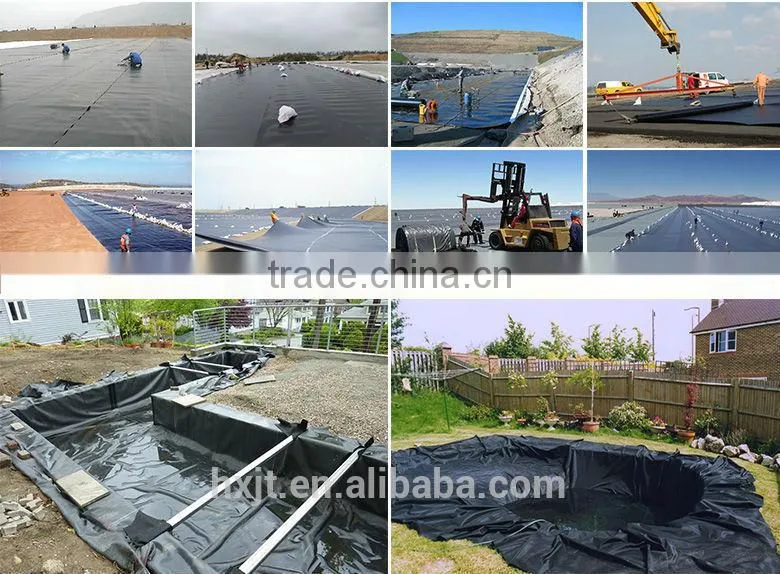 Fish film Chinese manufacturer best price Geomembrane fish farm pond liner