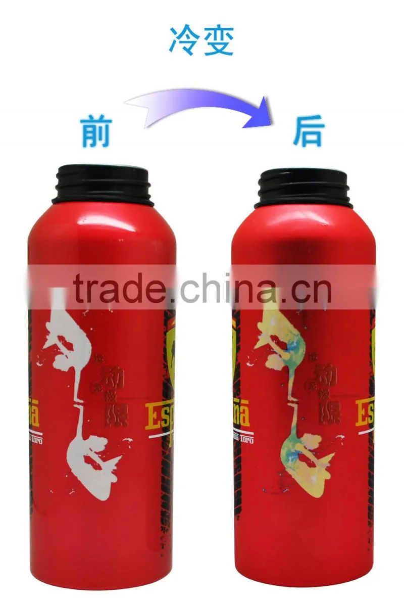 Stainless steel sport bottles for Dad's gift