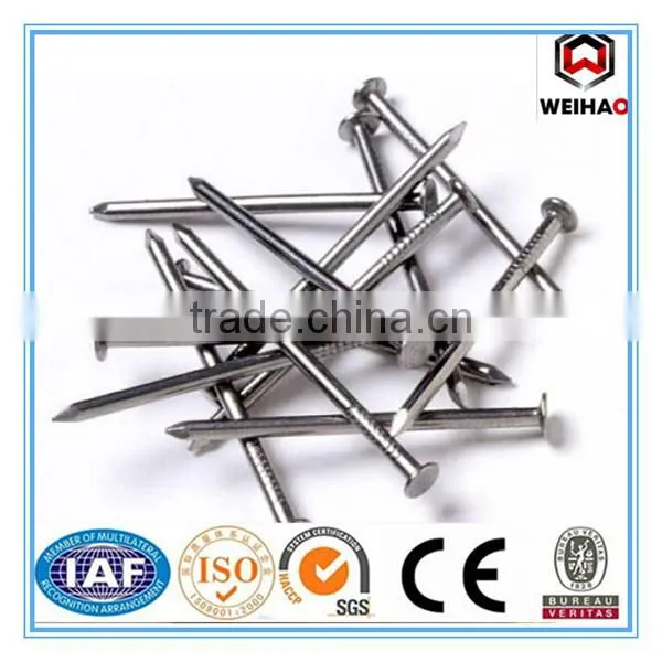 Building common wire nail, Construction Common nail iron nail factory