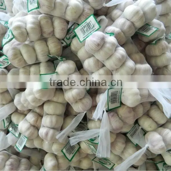 5.0cm fresh normal white garlic for sale