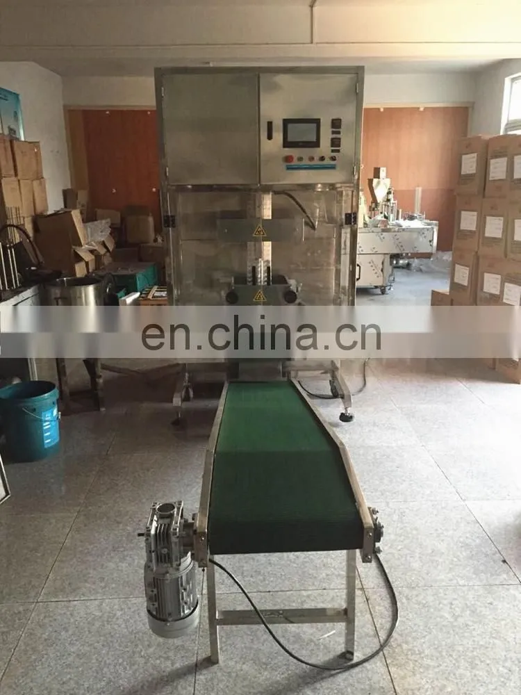 lime liquid pouch packing machine