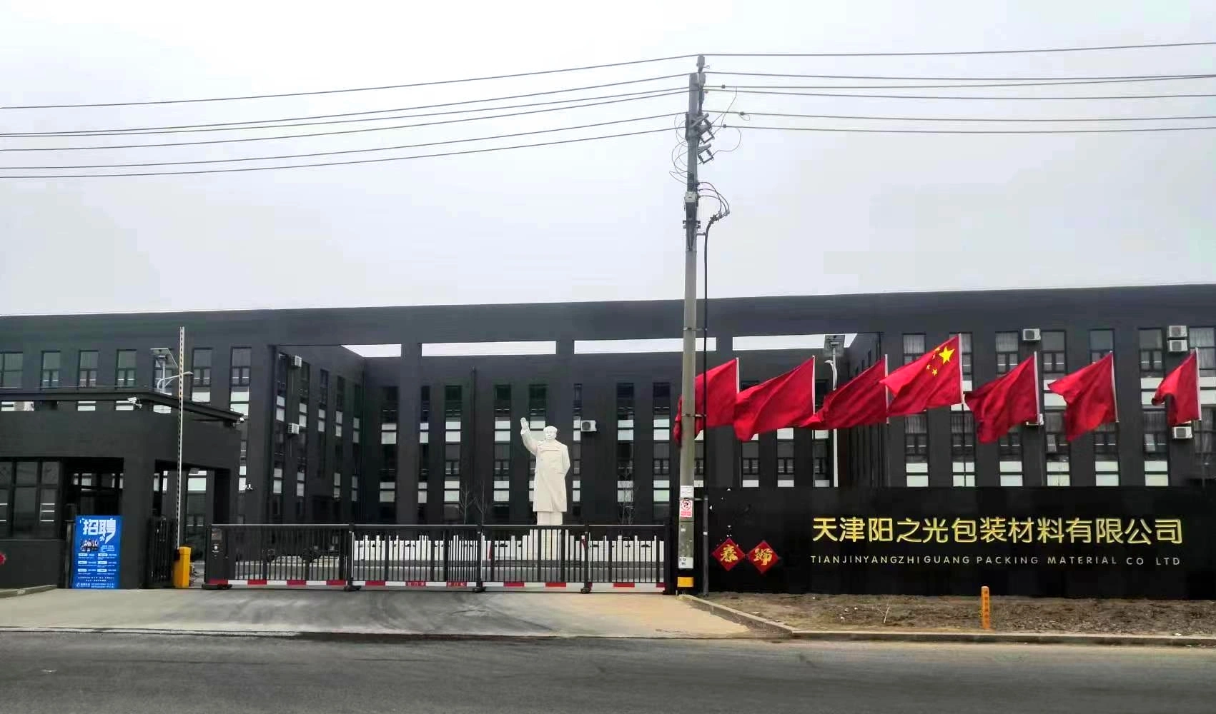 Hebei Yangzhiguang Packaging Materials Co., Ltd company overview - view 1