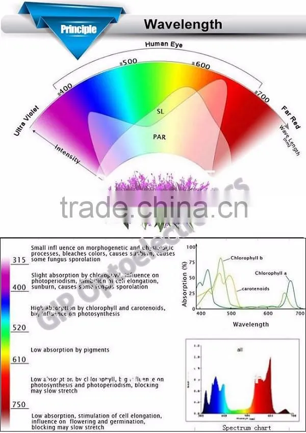 2016 new 12W E27 Par38 Red Blue LED Grow Light Bulb LED Plant Grow Light, E27 12w indoor garden hydroponic plant grow led light