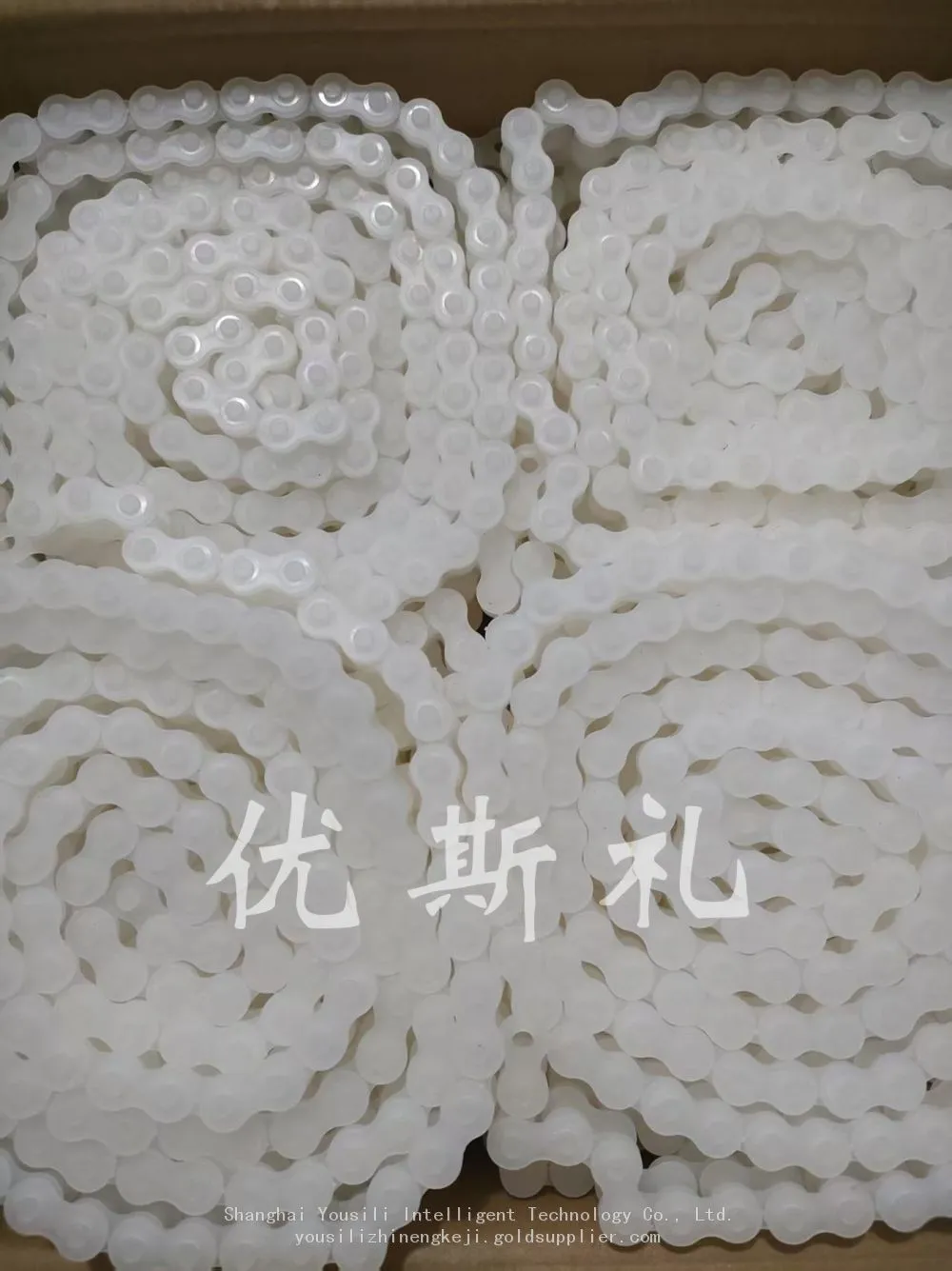PVDF塑料滚子链2.jpg