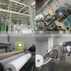 Shanghai Lifewell Nonwovens Co., Ltd. company overview - view 1
