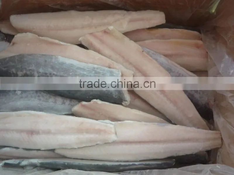 frozen Spanish mackerel fillet