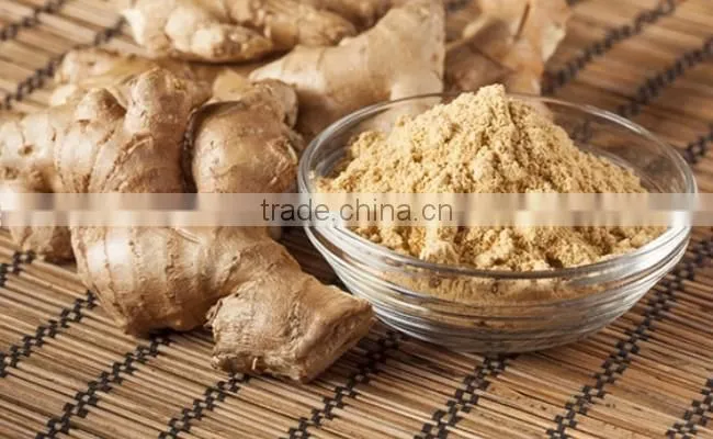 100% Original Quality Ginger Powder For Trade