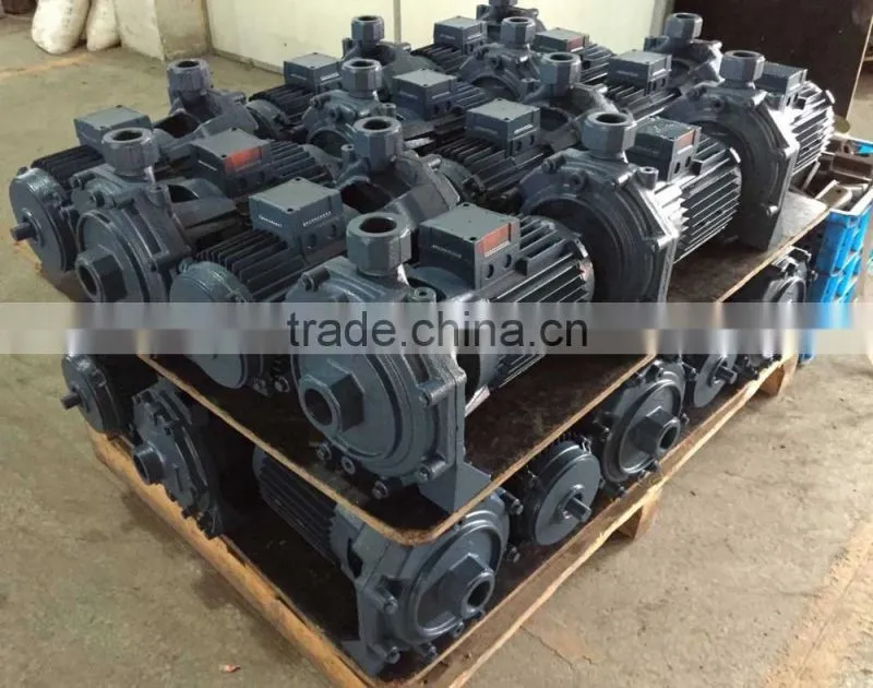 2CPm25/140 small centrifugal water pump with two brass impeller