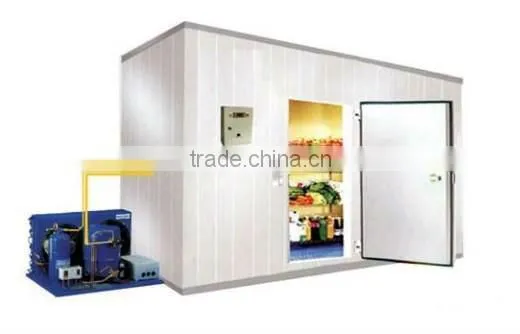 cold room for fish (size and temperature make as order )
