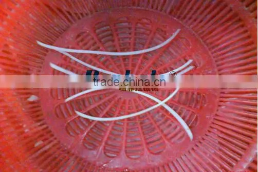 Automatic Stainless Steel Coconut Slicer