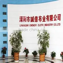 Liyang City Chengyi Cloth Industry Co., Ltd. company overview - view 1